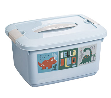 CAJA ORGANIZADORA CHICA